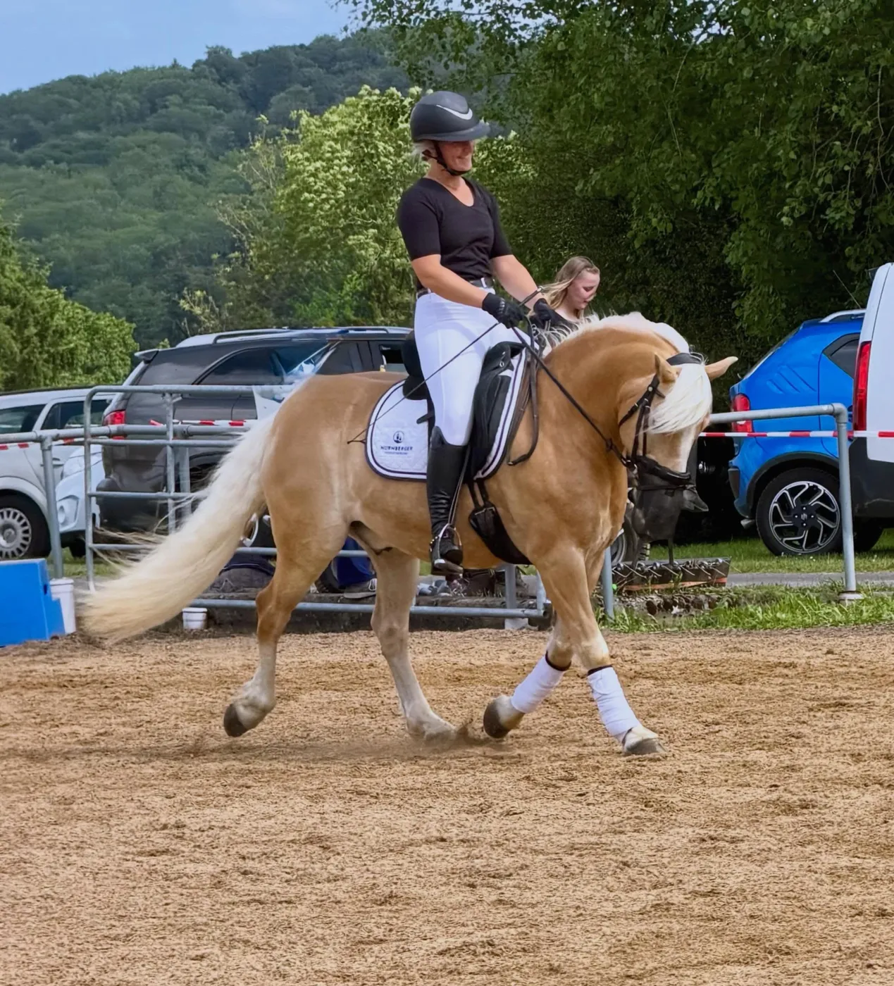Reiterin auf einem Haflinger im Trab auf dem Reitplatz
