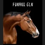 Funhill