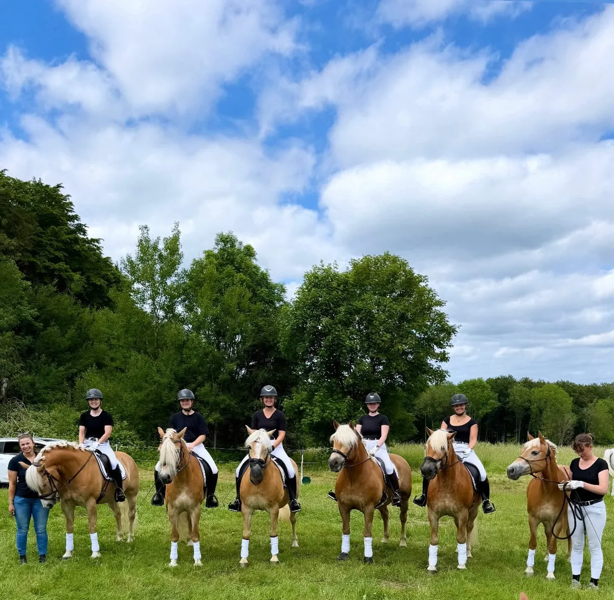 Showteam in einer Reihe auf der Wiese