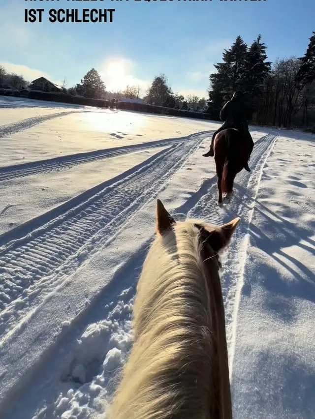 Ausritt im Schnee aus Reitersicht